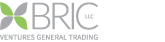 Bric-logo-002